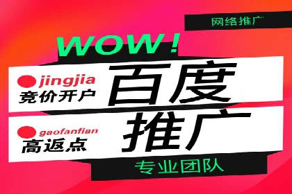 SEM竞价代运营公司案例实战指南